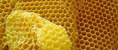 cera de abelha